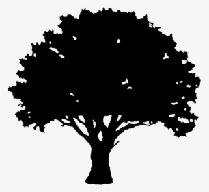 Dead Tree Silhouette Png -excelent Tree Silhouette - View Wootton Wawen Menu, Transparent Png, Free Download