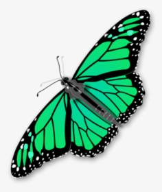 Monarch Butterfly Vector Clip Art - Monarch Butterfly Transparent Background, HD Png Download, Free Download