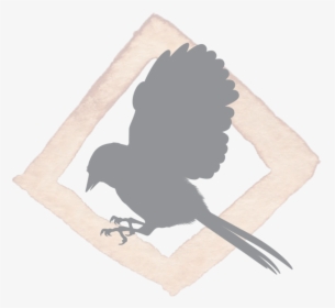 Sparrow Silhouette Png, Transparent Png, Free Download