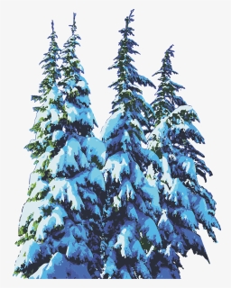 Pine Trees, Snow, Winter, Christmas - Snow Winter Christmas Pine Tree, HD Png Download, Free Download
