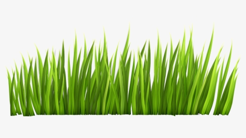 Transparent Clipart Image Grass Png Decor Clipart Picture - Transparent Background Grass Clipart, Png Download, Free Download