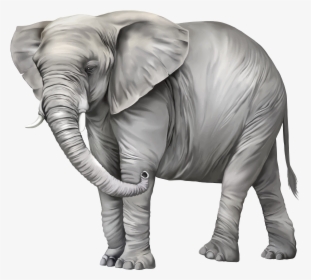 Transparent Africa Vector Png - Elephant Png Clipart, Png Download, Free Download