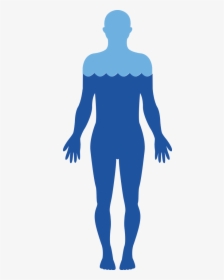 Standing Human Body Silhouette, HD Png Download, Free Download