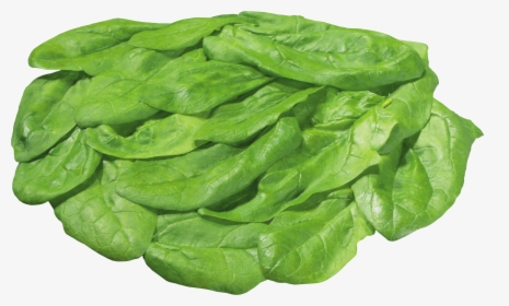 Download For Free Salad Icon Png - Lettuce Leaves Transparent Background, Png Download, Free Download