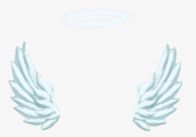 Snapchat Angel Transparent like Or Reblog If Using - Angel Snapchat Filter Png, Png Download, Free Download