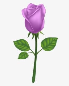 Purple Long Stem Rose Png Clipart , Png Download - Purple Long Stem Rose Transparent, Png Download, Free Download