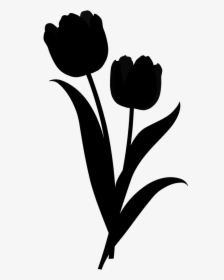 Tulip Clip Art Plant Stem Leaf Silhouette - Tulipa Humilis, HD Png Download, Free Download