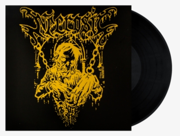 Necrosic Putrid Decimation, HD Png Download, Free Download