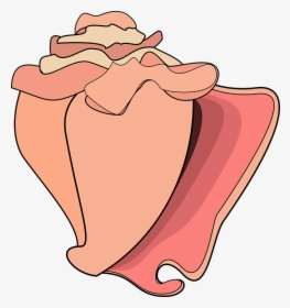 Graphic, Conch, Conch Shell, Shell, Ocean, Beach - Cartoon Conch, HD Png Download, Free Download