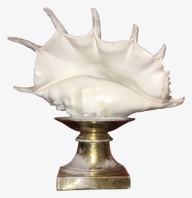 Transparent Conch Png - Lamp, Png Download, Free Download
