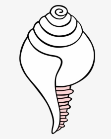 Conch Shell Drawing - Shankha Black And White, HD Png Download, Free Download