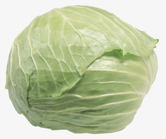 Cabbage Hd, HD Png Download, Free Download