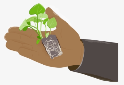 Poc Hand Vegetable Plant - Illustration, HD Png Download, Free Download