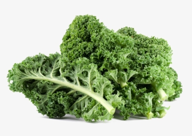 Kale Png File - Kale Food, Transparent Png, Free Download