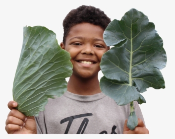 Vegetable Plant Png, Transparent Png, Free Download