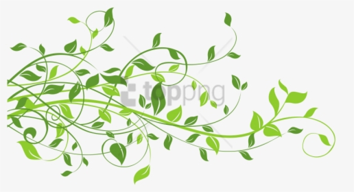 Free Png Spring Border Png Png Image With Transparent - Green Leaves Clipart Png, Png Download, Free Download