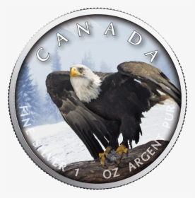 Ibca201957 1 - Maple Leaf Bald Eagle Cana Coin, HD Png Download, Free Download