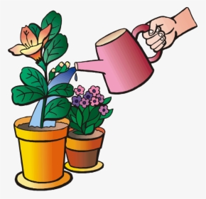 Watering Plants Clipart Png Water Plant Clipart Clipground - Clip Art Water Plants, Transparent Png, Free Download