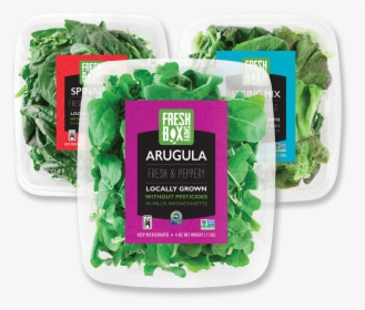 Food Poisoning - Arugula Grow Hydroponic, HD Png Download, Free Download
