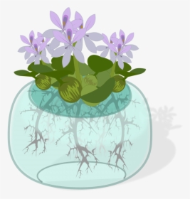 Plant,flora,petal - Plant On Water Clipart, HD Png Download, Free Download