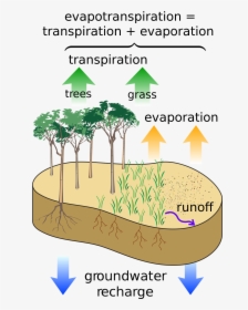 Evaporation And Evapotranspiration, HD Png Download, Free Download