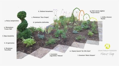 Yard, HD Png Download, Free Download