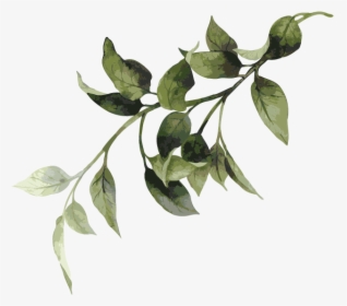 Sorrow Of War [book] , Png Download - Twig, Transparent Png, Free Download
