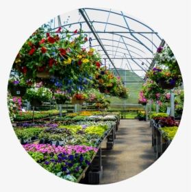 Circle Cropdsc 5729 - Greenhouse, HD Png Download, Free Download