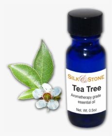 Tea Tree Esential Oil - Jasmine, HD Png Download, Free Download