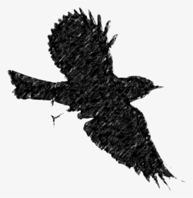 Bird Flight European Robin Silhouette Clip Art - Bird Flying Silhouette Png, Transparent Png, Free Download