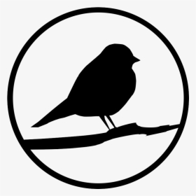 Transparent Robin Bird Clipart - Robin Clip Art Black And White, HD Png Download, Free Download