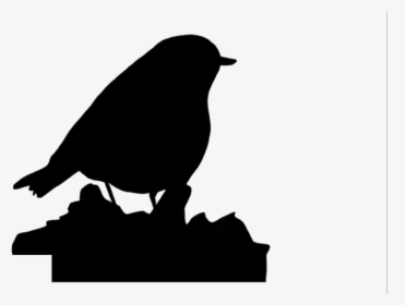 Robin Bird Png Transparent Images - Perching Bird, Png Download, Free Download