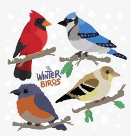 Transparent Bird On Branch Clipart - Northern Cardinal, HD Png Download, Free Download