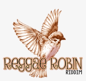 Reggae Robin Riddim Logo - Vintage Drawing Of Birds, HD Png Download, Free Download