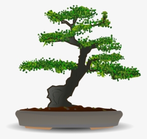 Bonsai Tree Vector Free, HD Png Download, Free Download