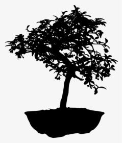 Bonsai-silhouette - Bonsai Tree Black And White, HD Png Download, Free Download