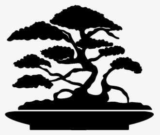 Bonsai, HD Png Download, Free Download