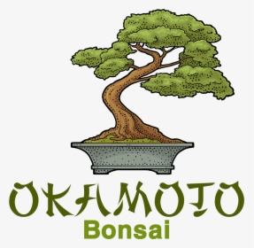 Okamoto Bonsai - Bonsai Tree Illustration, HD Png Download, Free Download
