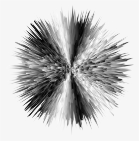 Plant,flower,pompom - Black And White Explosion, HD Png Download, Free Download