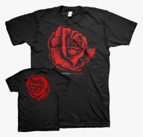 Cult Leader "rose - Birds In Row T Shirt, HD Png Download, Free Download