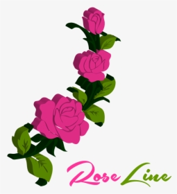 Rose, Roze, Roses, Rose Pedals - Hybrid Tea Rose, HD Png Download, Free Download