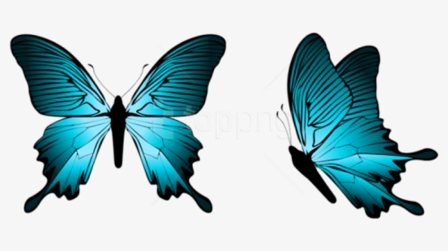 Download Blue Png Photo - Light Blue Butterfly Png, Transparent Png, Free Download