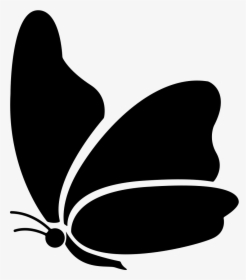 Big Wing Butterfly - Butterfly Icon Vector, HD Png Download, Free Download