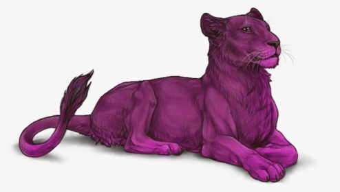 Dark Colored Lioness, HD Png Download, Free Download