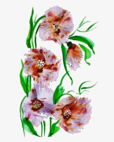 Lily Family, HD Png Download, Free Download