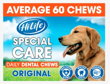 Hilife Special Care Daily Dental Chews Original Bulk - Hi Life Dog Food, HD Png Download, Free Download