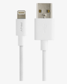 /data/products/article Large/883 20170203114249 - Usb Cable, HD Png Download, Free Download