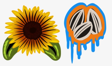F2u- Sunflower And Seeds Graffiti - Sunflower, HD Png Download, Free Download
