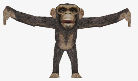 Download Zip Archive - Monkey, HD Png Download, Free Download