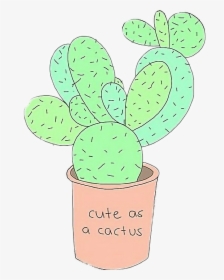 Transparent Cute Cactus Clipart - Fondos De Cactus Tumblr Dibujos, HD Png Download, Free Download